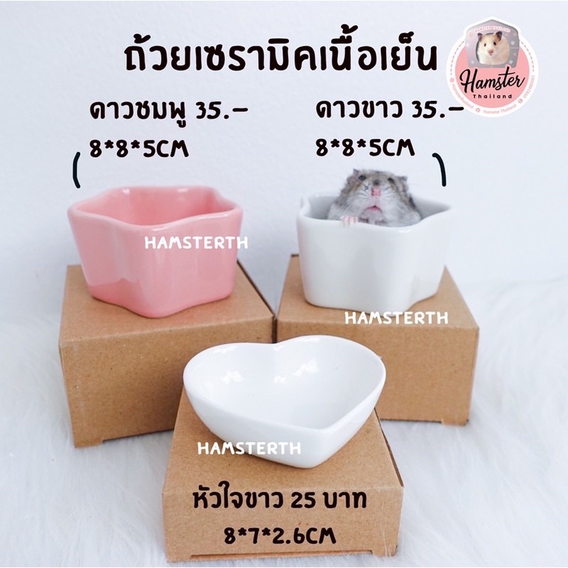 [Hamsterth] ถ้วย ชาม อาหาร ขนม แฮมสเตอร์ สำหรับสัตว์เลี้ยง เม่นแคระ