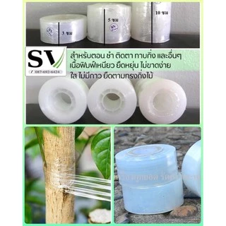 เทปพันกิ่ง ฟิล์มพันกิ่ง กว้าง 3,5,10 ซม แกนพลาสติก ยาว 200 เมตร เทปยืดได้อีกเท่าตัว เหนียว ไม่มีกาว สำหรับตอนกิ่ง ติดตา