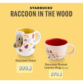 แก้ว Raccoon in the wood