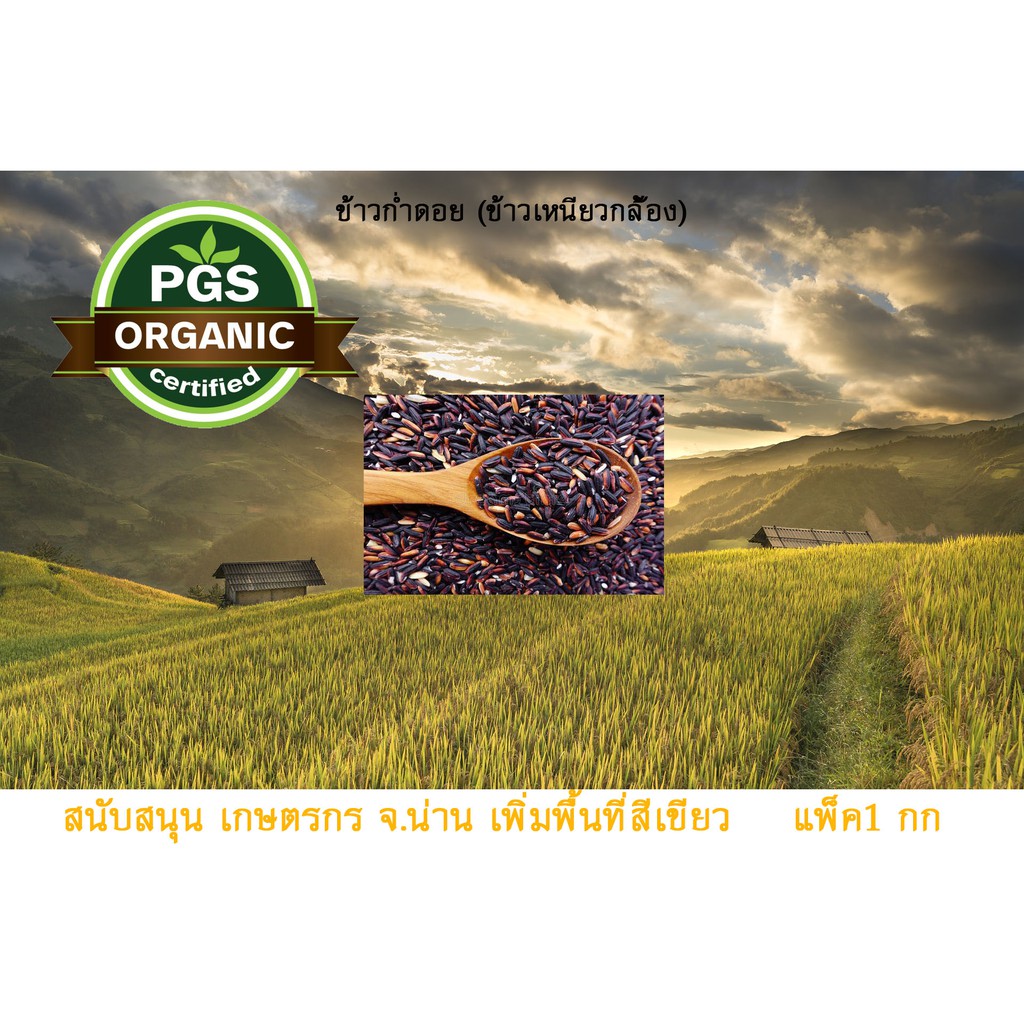 ข้าวก่ำดอย อินทรีย์ กล้อง 1กก.ตราภูไรซ์ จังหวัดน่าน
