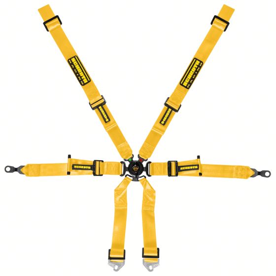 เข็มขัดนิรภัย Schroth Porsche 2x2 Harness