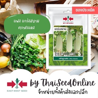 VP3 ซฟ เมล็ดพันธุ์ แฟง แกร่งสยาม ตราศรแดง 15เมล็ด Winter Melon Gourd