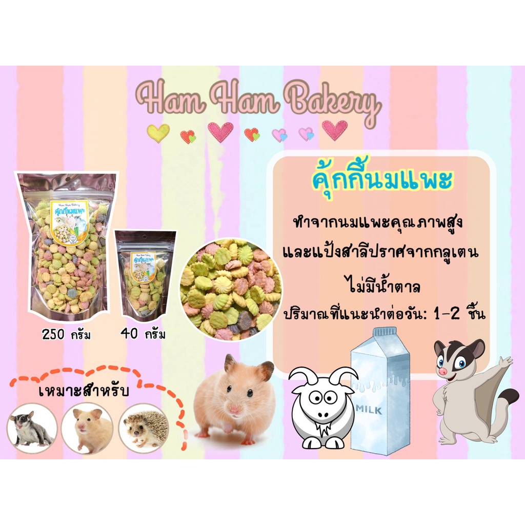 (Ham Ham Bakery) คุ๊กกี้นมเเพะ (กะปุกทดลอง) ขนมหนูเเฮมเตอร์ หนูแฮมสเตอร์ กระรอก ชูการ์ เม่นเเคระ เเฟตเทล