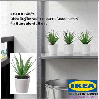 IKEA อิเกีย - ต้นไม้กระถาง อิเกีย ไม้ประดิษฐ์ในกระถาง+กระถาง, ใน/นอกอาคาร ต้น Succulent, 6 ซม. FEJKA เฟคก้า ต้นไม้ปลอม