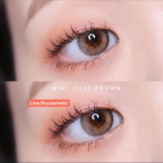 🌸Mini Jelly Brown🌸สายตา-0.50ถึง-4.75,-5.50,-6.00,-6.50,-7.50,-8.00,-8.50(kitty kawaii)