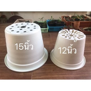 กระถางต้นไม้พลาสติกสีขาวขนาด12นิ้ว 15นิ้ว กระถางแคคตัส อุปกรณ์ตกแต่งสวน