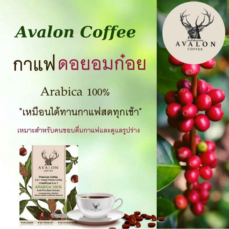 Avalon coffee กาแฟเพื่อสุขภาพ