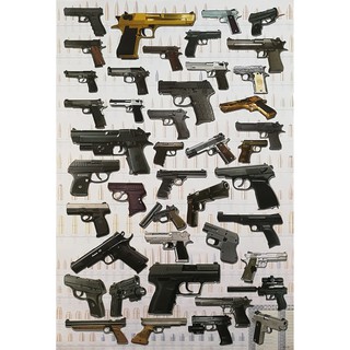 โปสเตอร์ ปืน ปืนสั้น ปืนพก Handguns POSTER 24”x35” Inch Single-Shot Pistol Revolver Semi-automatic Gun Collections