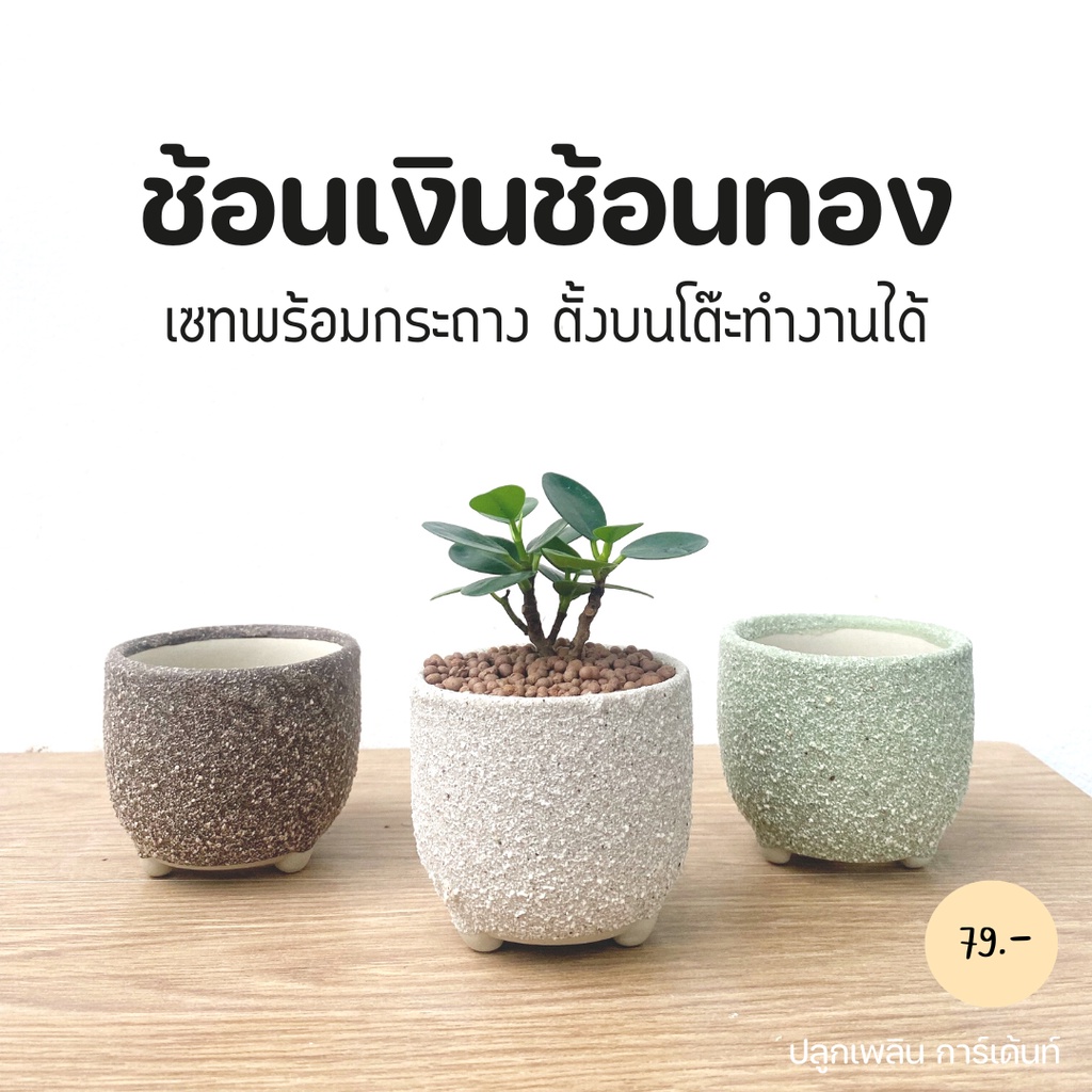 My Image 15