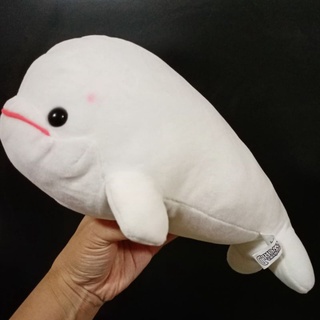 Beluga plush 💙 ตุ๊กตาวาฬขาว 📏10นิ้ว 🌴 วาฬเบลูก้า 🌊 ตุ๊กตาปลา สินค้าจาก🎌