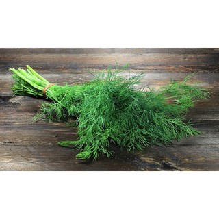 เมล็ดพันธุ์ผักชีลาว (Dill) จากบ้านสวน  ไม่ตัดต่อพันธุกรรมเก็บเมล็ดปลูกต่อได้ซองละ 25 บาท
