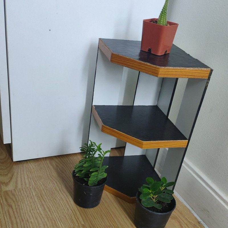 Plant Stand decoration at home