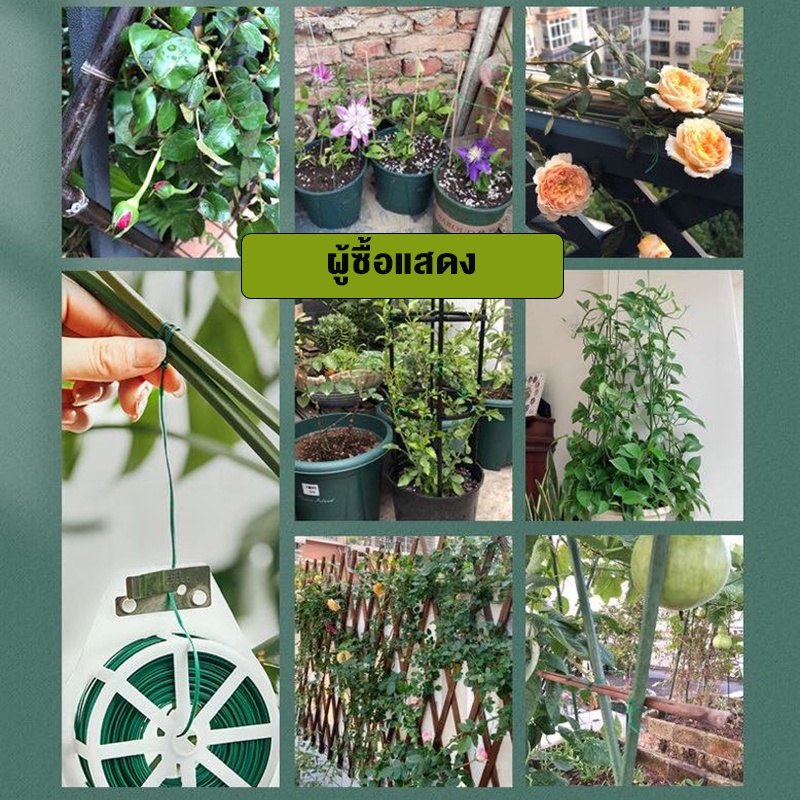 ลวดมัดต้นไม้ (ม้วน20/50/100เมตร) ลวดดัดต้นไม้ ลวดรัดต้นไม้ พร้อมตัวตัดลวด ลวดหุ้มพลาสติก ลวดผูกต้นไม้ ลวดสำหรับผูกต้นไม้ - รูปที่ 4