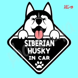 DIC43 สติ๊กเกอร์ ติดรถ Siberian Husky Dog In Car สติ๊กเกอร์ติดรถ car sticker
