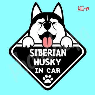 DIC43 สติ๊กเกอร์ ติดรถ Siberian Husky Dog In Car สติ๊กเกอร์ติดรถ car sticker