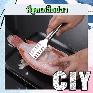 CIY(พร้อมส่ง)ที่ขอดเกล็ดปลา สแตนเลส ที่ขูดเกล็ดปลา อุปกรณ์ขอดเกล็ดปลา