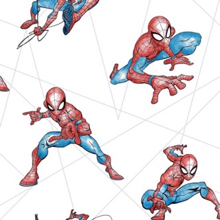 วอลล์เปเปอร์ติดผนังลายลิขสิทธิ์แท้ Spiderman