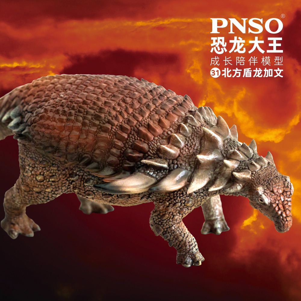 ของเล่นเด็กไดโนเสาร์รุ่น PNSO Dinosaur King 31 Northern Shield Dragon Gavin Grass Food Dinosaur