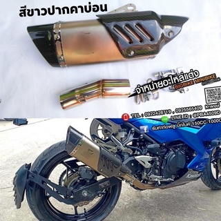 ชุดสลิปออนNINja400 Z400 ปลายอาคาดาบ