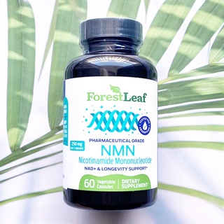 34% OFF ราคา Sale!! EXP:06/2023 อาหารเสริม NMN NAD+ &amp; Longevity Support 250 mg Per 2 Caps 60 VegCapsules (ForestLeaf®)