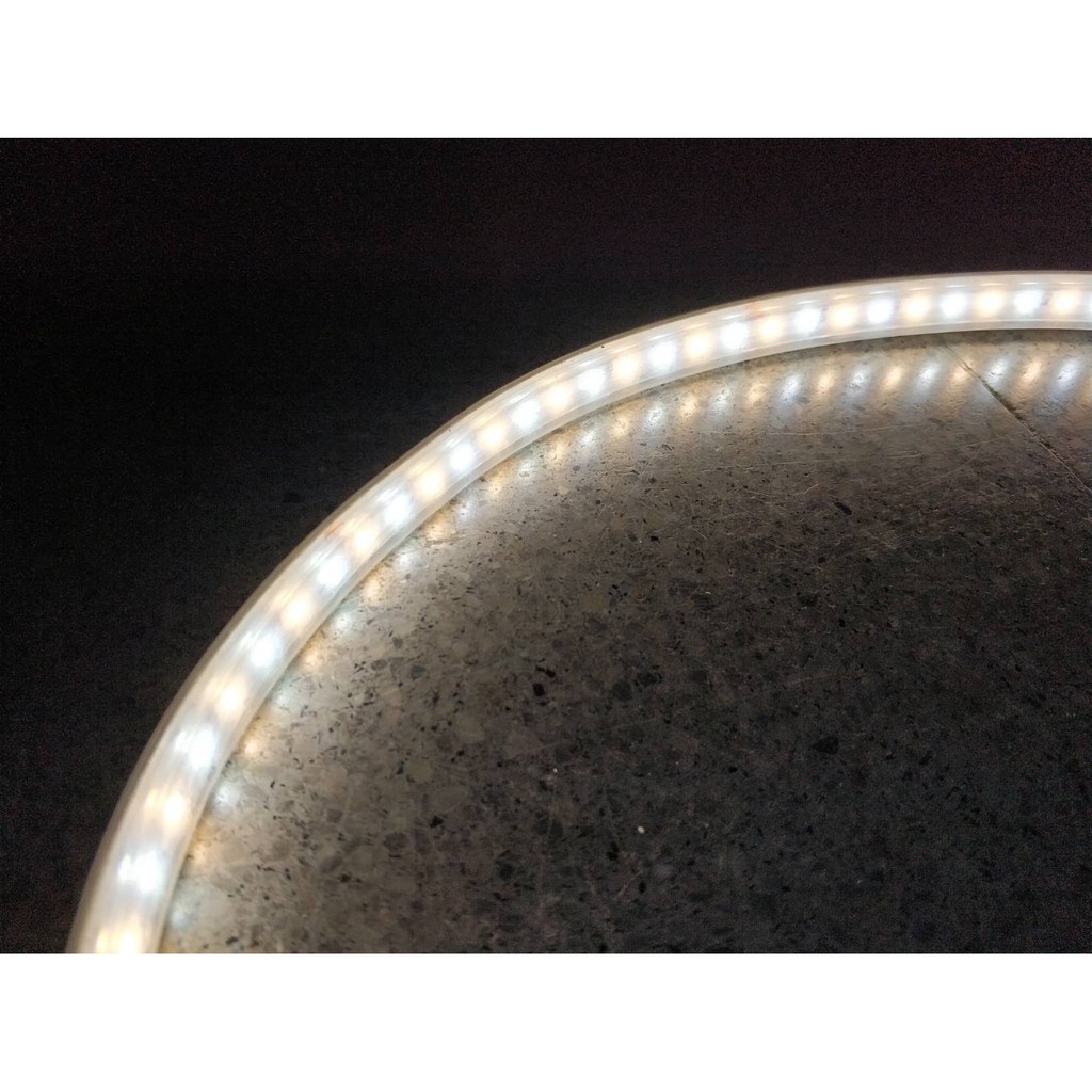 LED Strip ไฟเส้น LED DC 24V. 2 In 1 (5-10 เมตร) | Shopee Thailand