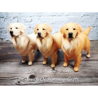 โมเดลโกลเด้นท์​รีทรีฟเวอร์ มี 3 เฉดสี พร้อมส่ง Golden Retriever Model