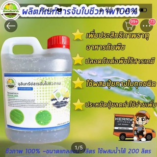 สารจับใบชีวภาพ100% ส่งฟรี