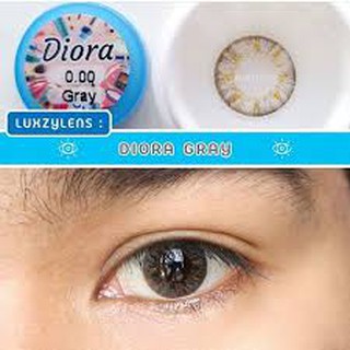 Luxzy Diora Gray คอนแทคเลนส์ลักซ์ซี่ ใส่สบายตา นุ่มมาก พร้อมส่ง มีเก็บปลายทาง