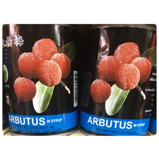 เอียะบ๊วย กระป๋อง ARBUTUS (414)