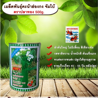 เมล็ดพันธุ์คะน้าฮ่องกงจัมโบ้ 500g. ตราปลาทองเมล็ดพันธุ์ควบคุมallaboutplants