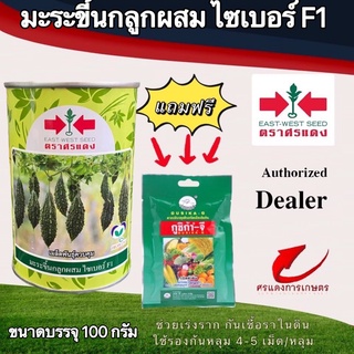 เมล็ดพันธุ์ มะระขี้นกไซเบอร์  100g แถมกูซิก้าจี