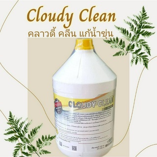 Cloudy Clean คลาวดี้ คลีน 3.8 ลิตร ผลิตภัณฑ์ปรับสภาพน้ำ สำหรับแก้น้ำขุ่น