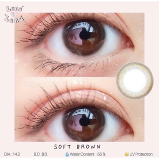 คอนแทคเลนส์รายเดือน รุ่น Soft Brown bylensland