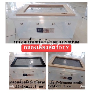 กล่องเลี้ยงสัตว์DIY สัตว์เล็กและสัตว์เลื้อยคลาน