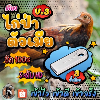 เสียงไก่ป่าตัวเมีย V.3 สำหรับต่อล่อไก่ แฟลชไดร์ฟเสียงไก่ป่าตัวเมีย ชัดเสียงใส ไม่มีโฆษณาแทรก พร้อมส่ง! มีเก็บเงินปลายทาง