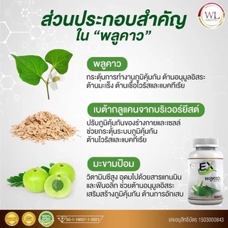 💥2 แถม 1💥EXพลูคราว พลูคราวสกัดของแท้100% บรรจุ 30 เม็ด รับประกันของแท้ 100%