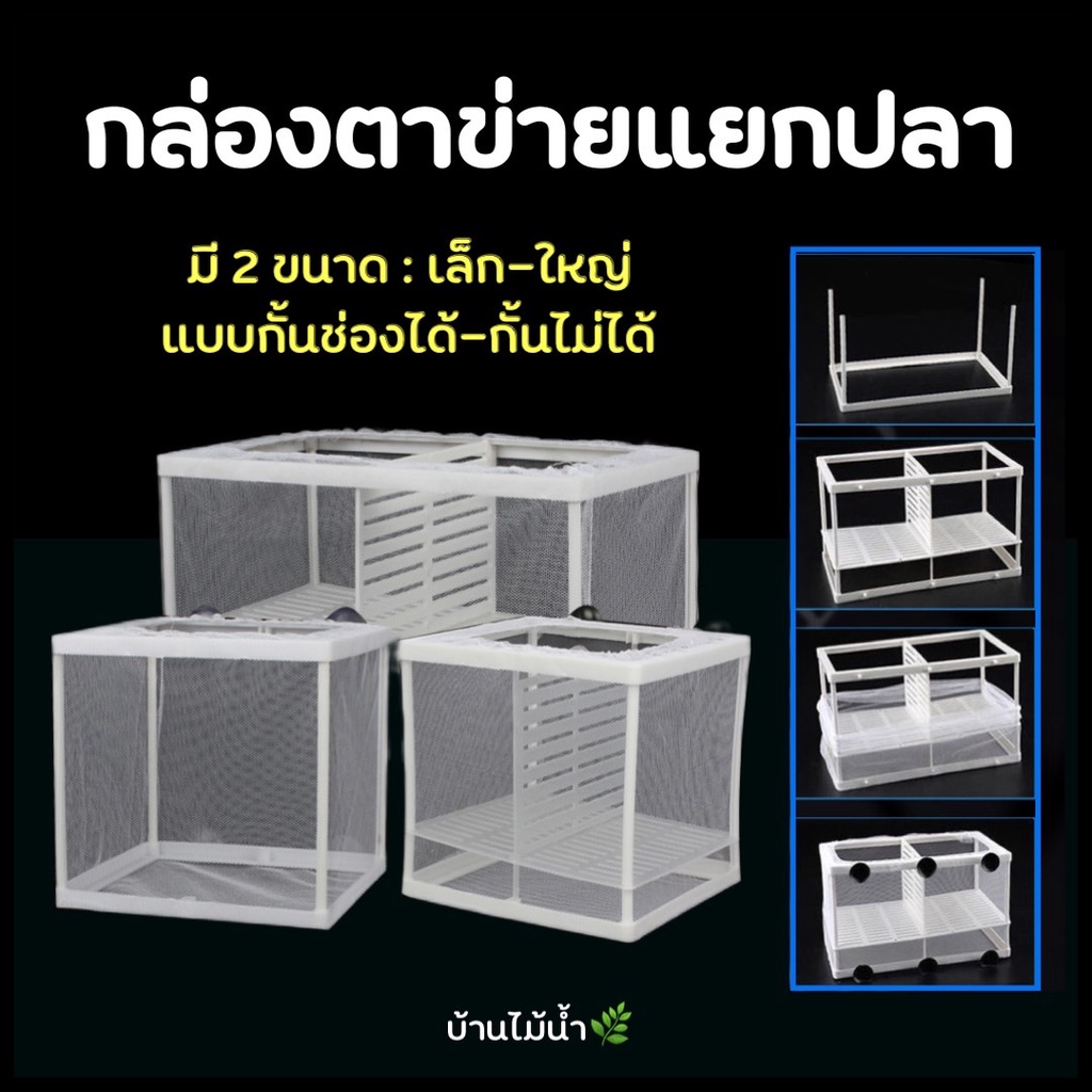 กล่องตาข่าย แยกปลา กล่องแยกปลา ตาข่ายเเยกปลา กล่องแยกเพาะพันธุ์ปลา แยกลูกปลา แยกแม่ปลาที่เพิ่งคลอดลูก