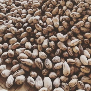 ถั่วเสือสิ้นลาย(400กรัม) ✅เจ กรอบ อร่อย คั่วใหม่ทุก