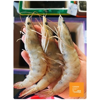 [พร้อมส่ง!!] กุ้งขาว สดคัดเกรด รับประกันความสด บรรจุแพ็คละ 1 กิโลกรัม