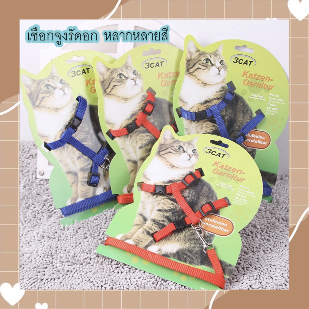 PP-264 สายจูงสำหรับสัตว์เลี้ยง ทั้งสุนัขและแมว คุณภาพเยี่ยม ราคาประหยัด พร้อมจัดส่งทันที 🧡👏🏻