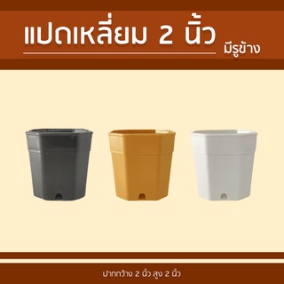 กระถางแคคตัส แปดเหลี่ยม 2 นิ้ว (มีรูข้าง) แพ็ค 200 ใบ