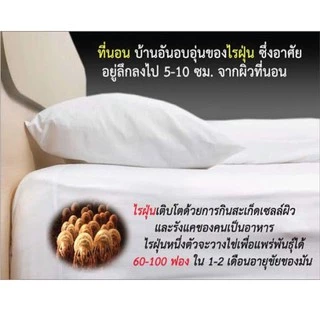 อาท แผ่นไล่ไรฝุ่น ใช้สารสกัดจากธรรมชาติ บรรจุ2แผ่น ARS MITE REPELLENT SHEET