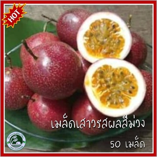 50 เมล็ด เสาวรสผลสีม่วง เมล็ดเสาวรสสีม่วง เสาวรสสีม่วง Passion Fruit แพสชั่นฟรุต กะทกรกฝรั่ง เสาวรส เสาวรสม่วง