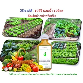สารจับใบ สารจับใบชีวภาพ สารจับใบชีวภัณฑ์ เพิ่มประสิทธิภาพสารชีวภาพ สูตรเข้มข้น ปลอดภัยต่อมนุษย์และสิ่งแวดล้อม