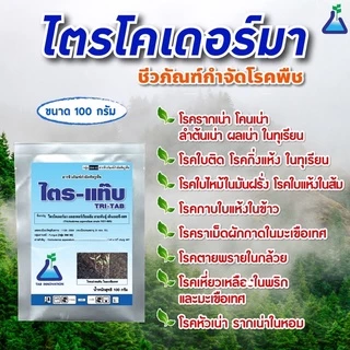 ไตร-แท๊บ (ไตรโครเดอร์มา) จาก ทีเอบี ไตรโคเดอร์มา กำจัดโรครากเน่า โคนเน่า จากเชื้อราไฟทอปธอร่า ในทุเรียน ไตรแท๊บ