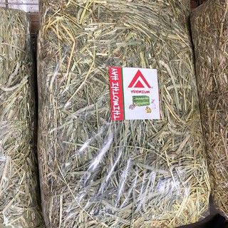 Timothy Hay premium (3kg) ทิโมที หญ้าไฟเบอร์สูง หญ้าทิโมธีจากธรรมชาติ สำหรับสัตว์เลี้ยง