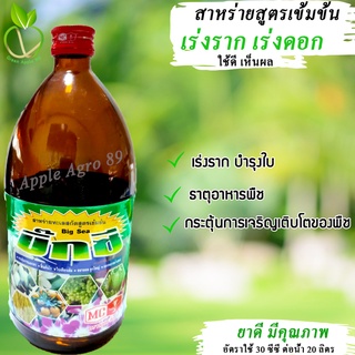 บิ๊กซี สาหร่ายสกัด (หัววัวคันไถ) ขนาด 1 ลิตร สาหร่ายเร่งราก ยาเร่งรากและใบ ยาเร่งรากปักชำ ยาเร่งรากเร่งดอก ยาเร่งรากพืช