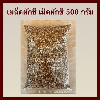 เมล็ดผักชี เม็ดผักชี