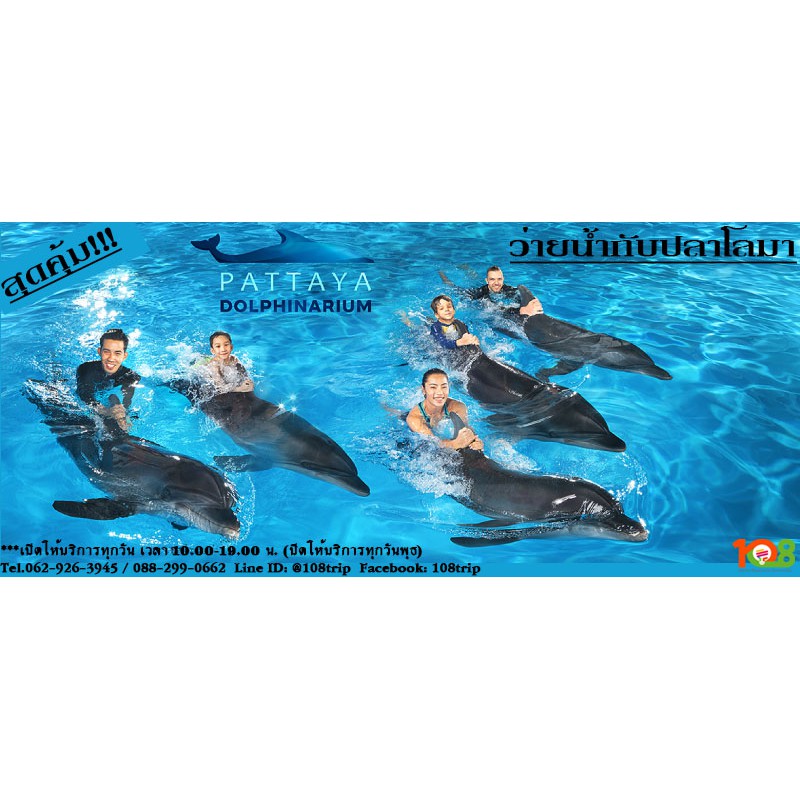 🐬🐬ว่ายน้ำกับปลาโลมา Swimming with Dolphins In Pattaya (พัทยา ดอลฟินาเรียม Pattaya Dolphinarium)