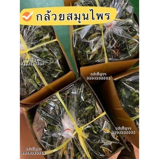 ขายส่ง กล้วยสมุนไพร ขนาด 5 กก. อร่อยเข้มนัวร์ ผงเน้นๆ